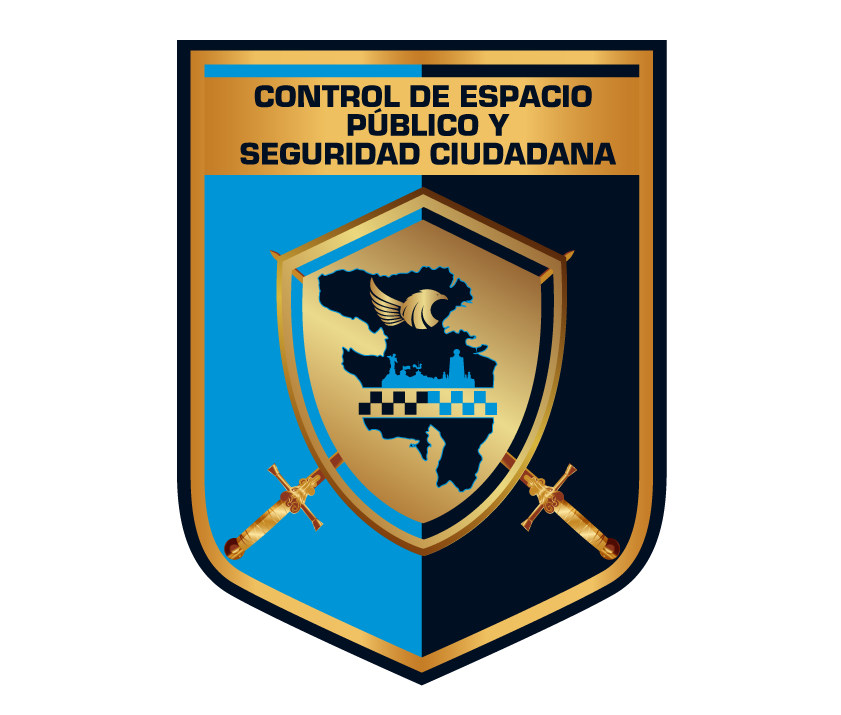 Control Espacio Público